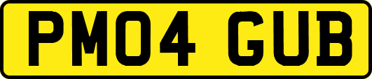 PM04GUB