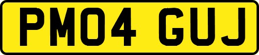 PM04GUJ