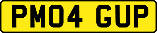 PM04GUP
