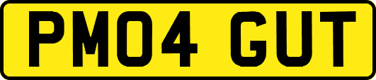 PM04GUT