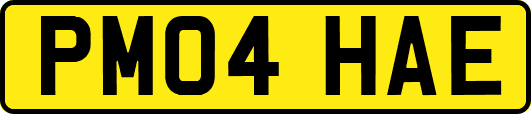 PM04HAE