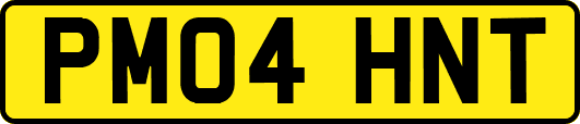 PM04HNT