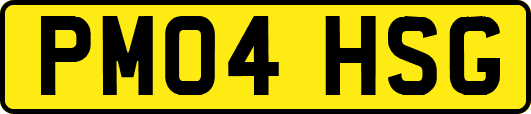 PM04HSG