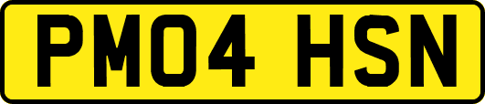 PM04HSN