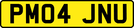 PM04JNU