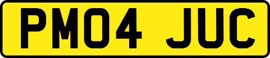 PM04JUC