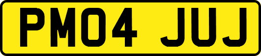 PM04JUJ