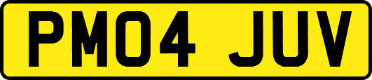 PM04JUV