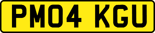 PM04KGU