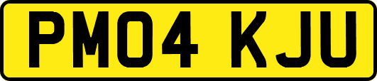 PM04KJU