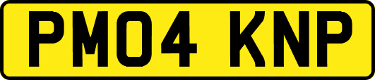 PM04KNP