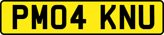 PM04KNU