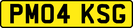 PM04KSG
