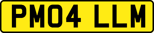 PM04LLM