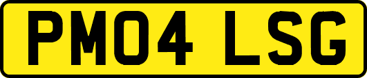 PM04LSG