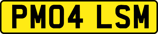 PM04LSM