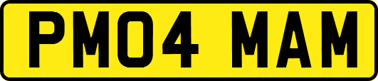PM04MAM
