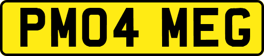 PM04MEG
