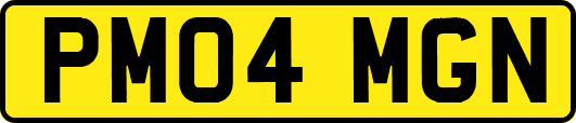 PM04MGN