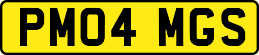 PM04MGS