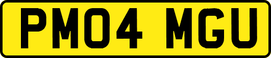 PM04MGU