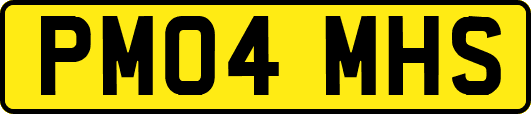 PM04MHS