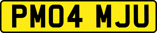 PM04MJU