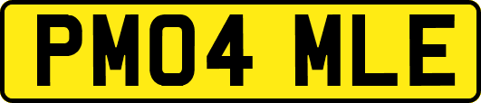 PM04MLE