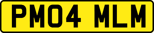 PM04MLM