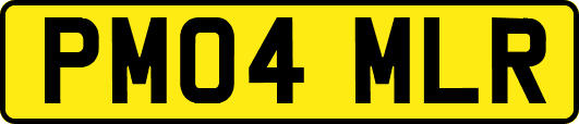 PM04MLR