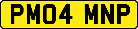 PM04MNP