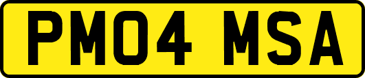 PM04MSA