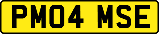 PM04MSE