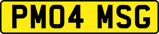 PM04MSG