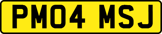 PM04MSJ