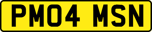 PM04MSN