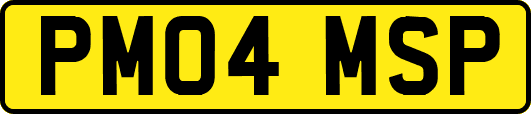 PM04MSP