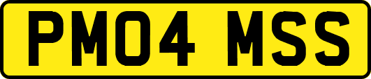 PM04MSS