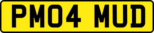 PM04MUD