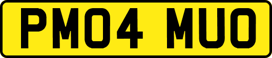 PM04MUO