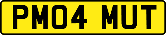 PM04MUT