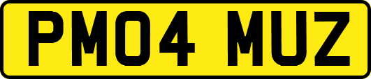PM04MUZ