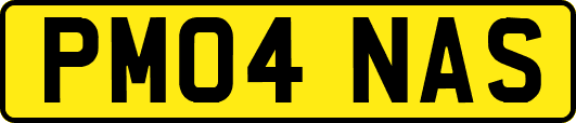 PM04NAS