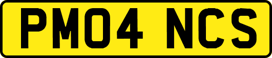 PM04NCS