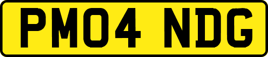 PM04NDG