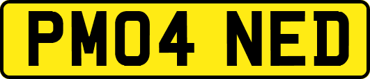 PM04NED