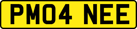 PM04NEE