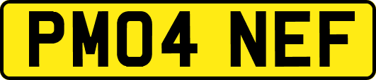 PM04NEF