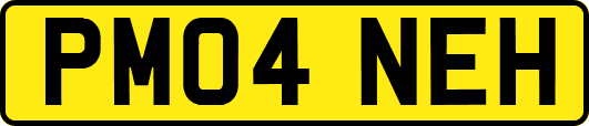 PM04NEH