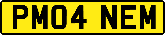 PM04NEM